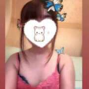 ヒメ日記 2025/06/14 17:50 投稿 サクラ Ageha(アゲハ)