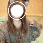 ヒメ日記 2025/10/22 18:20 投稿 サクラ Ageha(アゲハ)