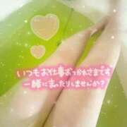 ヒメ日記 2025/12/08 12:30 投稿 サクラ Ageha(アゲハ)