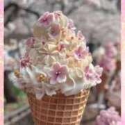 ヒメ日記 2025/04/13 16:38 投稿 くみ 美人百華　宇都宮