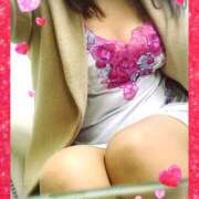 くみ ※無題 美人百華　宇都宮