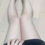 ヒメ日記 2025/02/22 10:59 投稿 みなも サティアンまーと