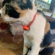 ヒメ日記 2025/10/23 14:51 投稿 はづき 久喜鷲宮ちゃんこ