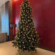 ヒメ日記 2025/11/13 08:02 投稿 あおい 仙台回春性感マッサージ倶楽部