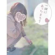 ヒメ日記 2025/02/08 08:28 投稿 みお 長野権堂更埴ちゃんこ