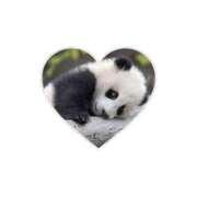 ヒメ日記 2025/05/18 15:38 投稿 みお 長野権堂更埴ちゃんこ