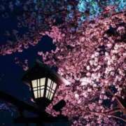 ヒメ日記 2026/04/03 18:24 投稿 恵 東京人妻フォーシーズンズ