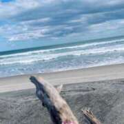 ヒメ日記 2025/04/05 11:53 投稿 えね☆プラチナ生徒☆ 秋葉原コスプレ学園in仙台