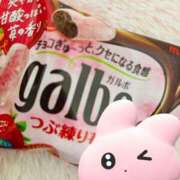 ヒメ日記 2026/03/15 06:12 投稿 れあ 素敵な女の子は好きですか？