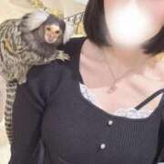 ヒメ日記 2026/03/22 06:52 投稿 えっちゃん☆動画OPが無料 JKサークル