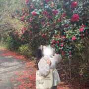 ヒメ日記 2025/03/18 07:02 投稿 ゆら 君とふわふわプリンセスin川越