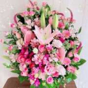 ヒメ日記 2025/02/10 22:01 投稿 真木 ゆずは こあくまな熟女たち 鶯谷・日暮里店(KOAKUMAグループ)