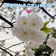 ヒメ日記 2025/04/08 21:55 投稿 真木 ゆずは こあくまな熟女たち 上野・御徒町店 (KOAKUMAグループ)