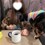 ヒメ日記 2026/02/21 13:54 投稿 のの 東京リップ 渋谷店