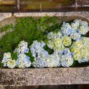 ヒメ日記 2025/02/04 18:47 投稿 桃井　さらは エテルナ京都