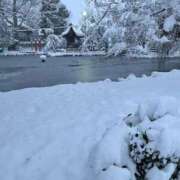 ヒメ日記 2025/02/05 02:38 投稿 桃井　さらは エテルナ京都