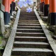 ヒメ日記 2025/03/22 23:20 投稿 桃井　さらは エテルナ京都