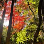 ヒメ日記 2025/08/31 13:44 投稿 桃井　さらは エテルナ京都