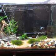 ヒメ日記 2025/10/06 22:14 投稿 桃井　さらは エテルナ京都