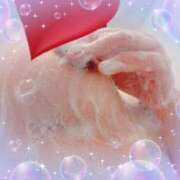 ヒメ日記 2025/12/01 15:33 投稿 桃井　さらは エテルナ京都