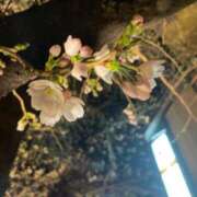 ヒメ日記 2025/03/23 09:16 投稿 るりこ 艶熟妻 京都店