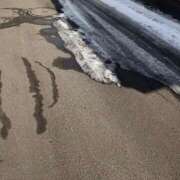 ヒメ日記 2025/02/25 14:05 投稿 愛沢　時愛 タッチVIP