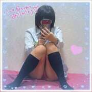 ヒメ日記 2025/04/10 08:35 投稿 とい 萌えコス