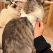 ヒメ日記 2025/07/28 17:05 投稿 とい 萌えコス