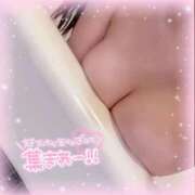 ヒメ日記 2025/11/06 12:46 投稿 とい 萌えコス