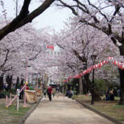 若葉 🌸本日限定イベント開催中🌸 出会い系人妻ネットワーク錦糸町～小岩編