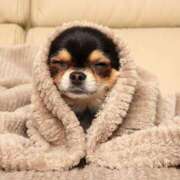 若葉 予約ありがとう！めちゃくちゃ嬉しい💖 出会い系人妻ネットワーク錦糸町～小岩編