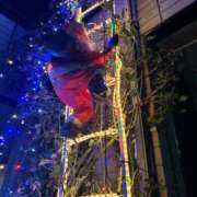 ヒメ日記 2025/12/09 13:43 投稿 若葉 出会い系人妻ネットワーク錦糸町～小岩編