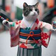 ヒメ日記 2026/01/12 11:32 投稿 若葉 出会い系人妻ネットワーク錦糸町～小岩編