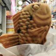 ヒメ日記 2026/02/20 15:59 投稿 若葉 出会い系人妻ネットワーク錦糸町～小岩編