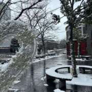 ヒメ日記 2026/03/10 11:21 投稿 若葉 出会い系人妻ネットワーク錦糸町～小岩編