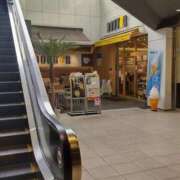 ヒメ日記 2026/03/17 10:50 投稿 若葉 出会い系人妻ネットワーク錦糸町～小岩編