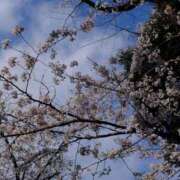 ヒメ日記 2026/03/22 12:16 投稿 若葉 出会い系人妻ネットワーク錦糸町～小岩編