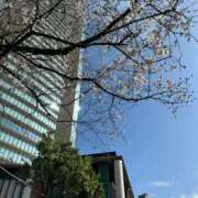 ヒメ日記 2026/03/28 13:09 投稿 若葉 出会い系人妻ネットワーク錦糸町～小岩編