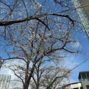 ヒメ日記 2026/04/05 13:47 投稿 若葉 出会い系人妻ネットワーク錦糸町～小岩編