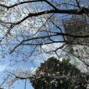 ヒメ日記 2026/04/07 13:09 投稿 若葉 出会い系人妻ネットワーク錦糸町～小岩編