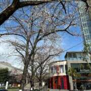 ヒメ日記 2026/04/08 10:33 投稿 若葉 出会い系人妻ネットワーク錦糸町～小岩編