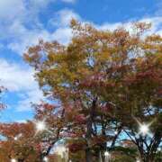 ヒメ日記 2025/11/19 10:18 投稿 みやび ニューヨークニューヨーク