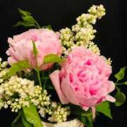 ヒメ日記 2026/03/27 08:48 投稿 みやび ニューヨークニューヨーク