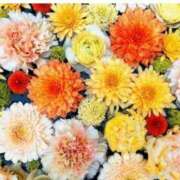 ヒメ日記 2025/06/09 20:34 投稿 あかね 出会い系人妻ネットワーク錦糸町～小岩編