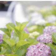 ヒメ日記 2025/06/23 10:57 投稿 あかね 出会い系人妻ネットワーク錦糸町～小岩編