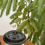 あかね 先月のお礼を… 出会い系人妻ネットワーク錦糸町～小岩編