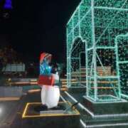 ヒメ日記 2025/12/11 19:59 投稿 あかね 出会い系人妻ネットワーク錦糸町～小岩編