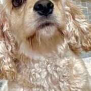 ヒメ日記 2025/12/17 12:28 投稿 あかね 出会い系人妻ネットワーク錦糸町～小岩編