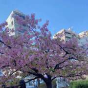 ヒメ日記 2026/02/28 14:06 投稿 あかね 出会い系人妻ネットワーク錦糸町～小岩編