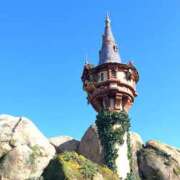 ヒメ日記 2025/01/31 11:52 投稿 かの 所沢東村山ちゃんこ